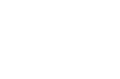 CEMD 1